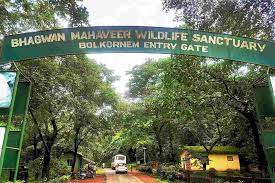 Bhagwan-Mahavir-Wildlife-Sanctuary