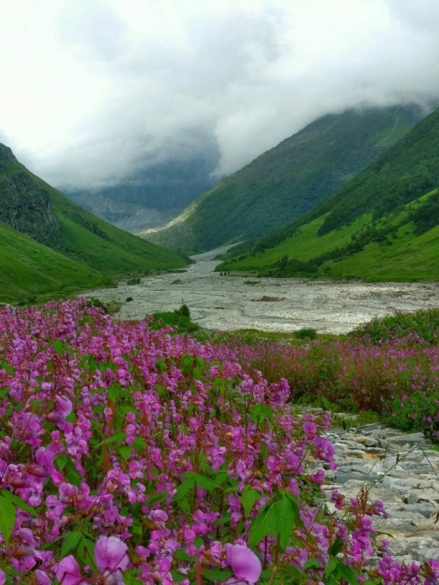 उत्तराखंड के प्रमुख हिल्स स्टेशन,  जहां गर्मियों में जरूर जाना चाहिए