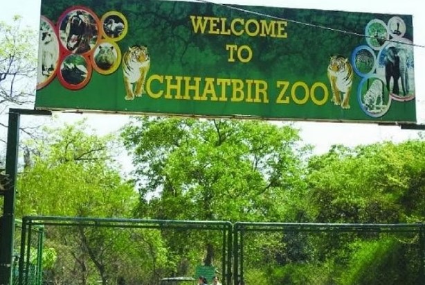 Chhatbir Zoo