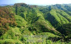Chittagong hills