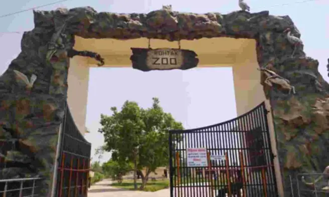 Rohtak zoo