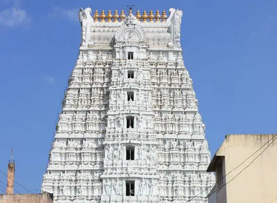Sri Govindaraja Swamy Temple